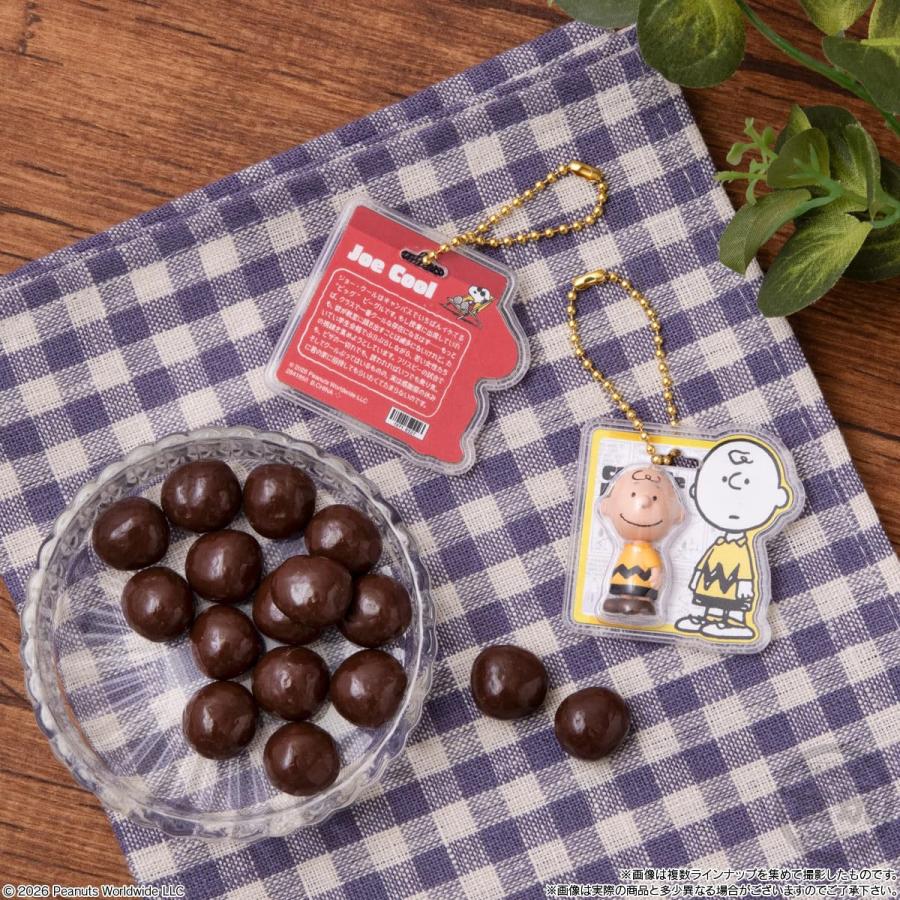BANDAI（バンダイ） 予約2026年10月発売予定 ラッピング対応 PEANUTS