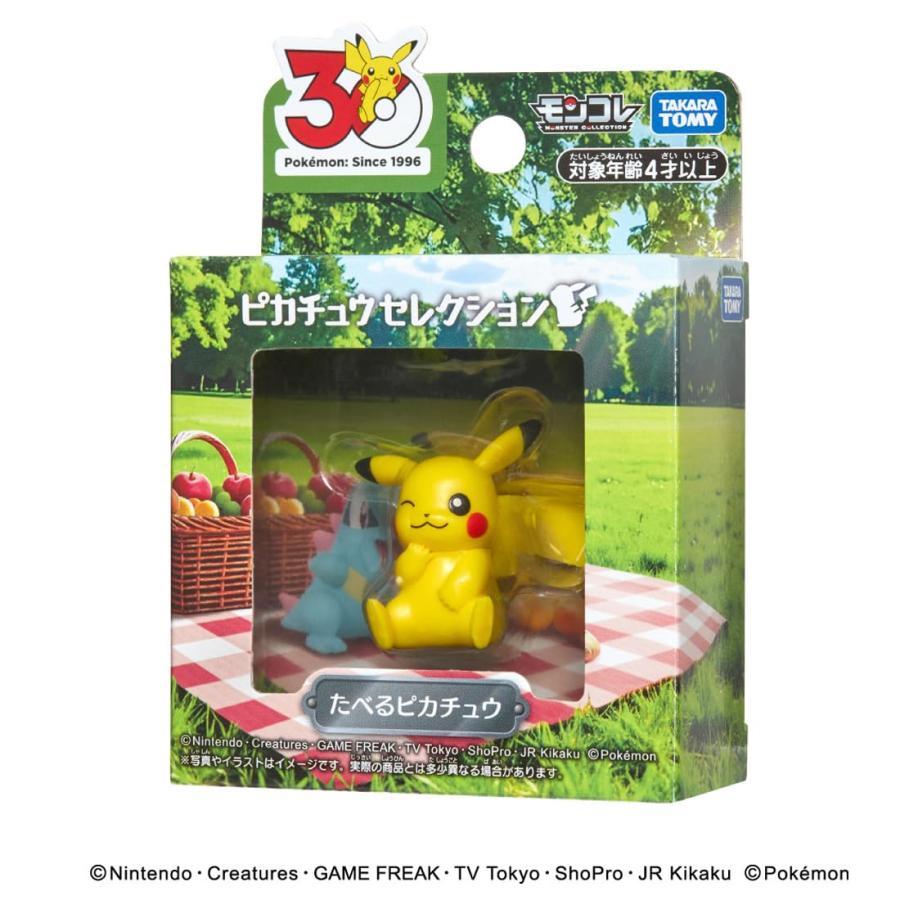 タカラトミー（TAKARA TOMY） ラッピング対応 ポケモン30周年記念