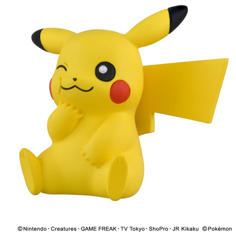タカラトミー（TAKARA TOMY） ラッピング対応 ポケモン30周年記念