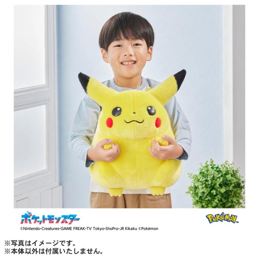タカラトミー（TAKARA TOMY） ラッピング対応 ポケットモンスター