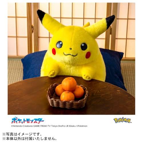 タカラトミー（TAKARA TOMY） ラッピング対応 ポケットモンスター