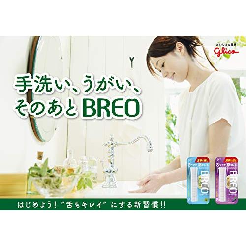 江崎グリコ ブレオ・イーエックス(BREO-EX)タブレット グリーンアップル 66g｜loandlu｜02