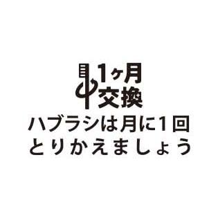 L ＡＰＩＳ：歯科専用ハブラシ コンパクトヘッド 日本製 ハンドルが長め フラット ペングリップ ふつう12本カラフル LA-211｜loandlu｜04