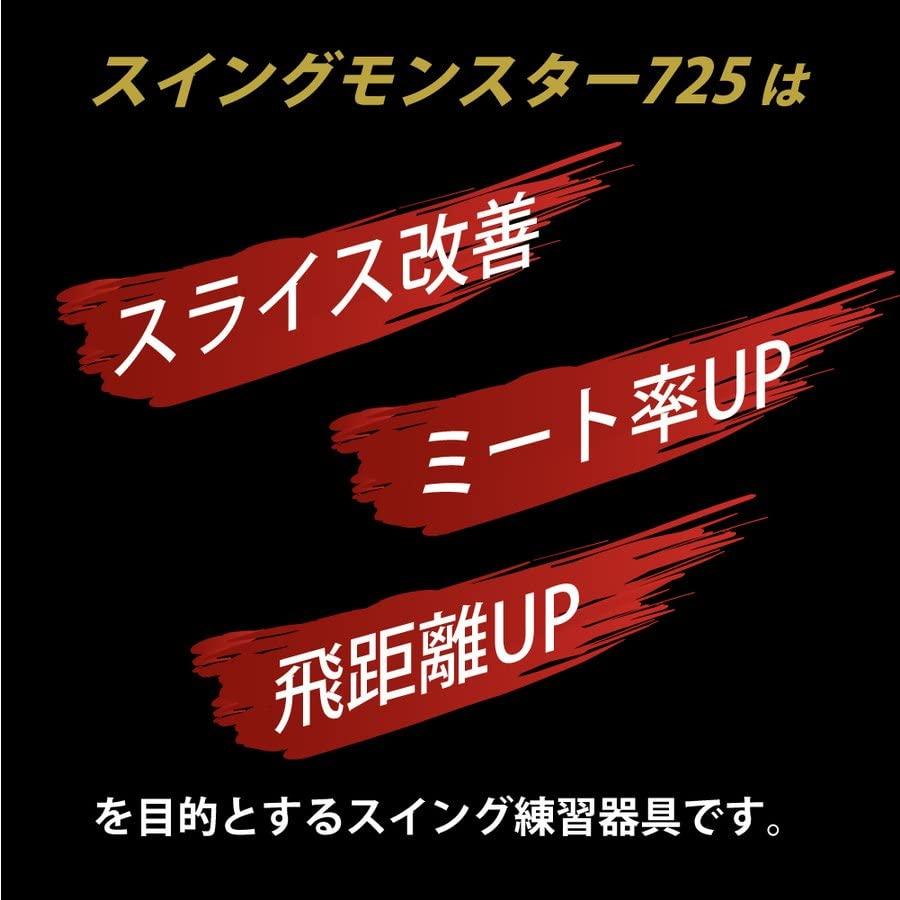 スイングモンスター725 TYPE H ショートバージョン ゴルフ スイング練習 練習器具 素振り ゴルフ用品 室内 素振 swingmonster｜loandlu｜06