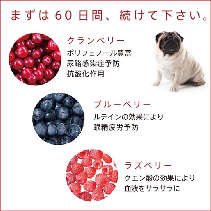 祝 創業祭 クラニマルズ オリジナル 今だけ500円相当のベリーベリー小袋プレゼント 尿路 肝機能の病気予防に 賞味期限20年12月 Cra 0010 ロアジスナチュラルpetlife 通販 Yahoo ショッピング