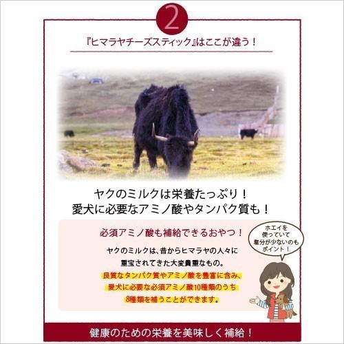 Mサイズ 単品 メール便ok ヒマラヤチーズ スティック ロアジス正規品 ペット 犬用 無添加 低カロリー 長持ち おやつ ガム ナチュラル チーズ Hcs 00 Dm ロアジスナチュラルpetlife 通販 Yahoo ショッピング