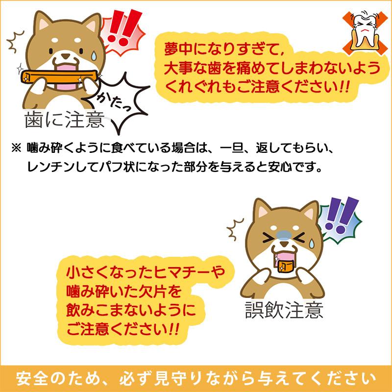 2本 Lサイズ(約160g) 正規品ヒマチー 送料無料セット ヒマラヤチーズ