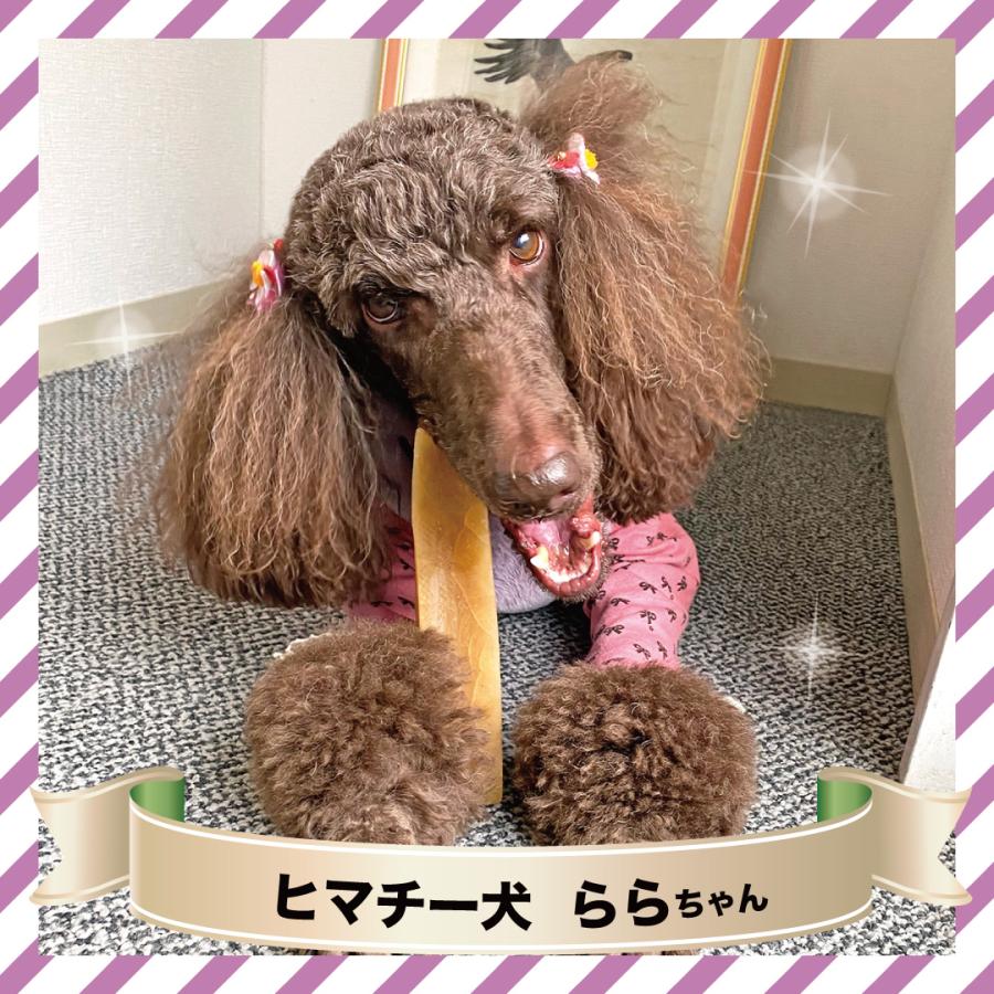 単品 Lサイズ(約160g) 正規品ヒマチー ヒマラヤチーズ スティック 商標