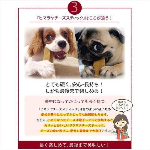 正規品ヒマチー Lサイズ(約160g) 単品 ヒマラヤチーズ スティック 商標取得 ペット 犬用おやつ 無添加 ガム 送料無料 ロアジス直営店｜loasis｜07