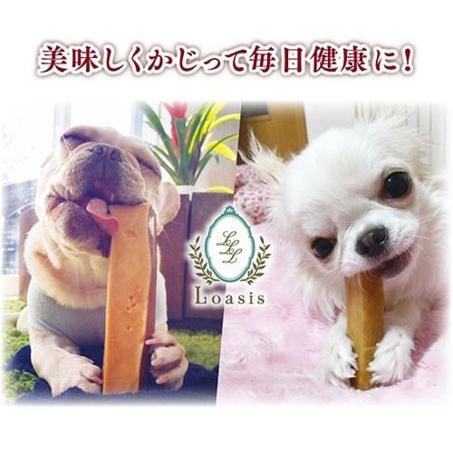 正規品ヒマチー Lサイズ(約160g) 単品 ヒマラヤチーズ スティック 商標取得 ペット 犬用おやつ 無添加 ガム 送料無料 ロアジス直営店｜loasis｜09