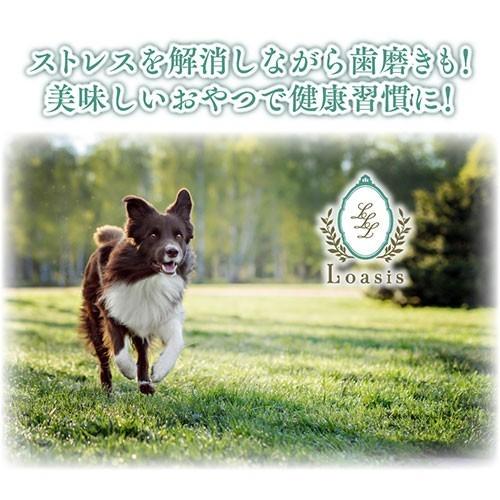 正規品ヒマチー Lサイズ(約160g) 単品 ヒマラヤチーズ スティック 商標取得 ペット 犬用おやつ 無添加 ガム 送料無料 ロアジス直営店｜loasis｜10