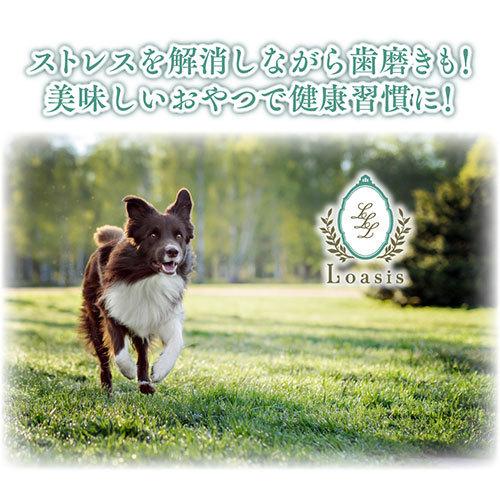 5本 Lサイズ(約160g) 正規品ヒマチー 【セットでお得】 ヒマラヤ