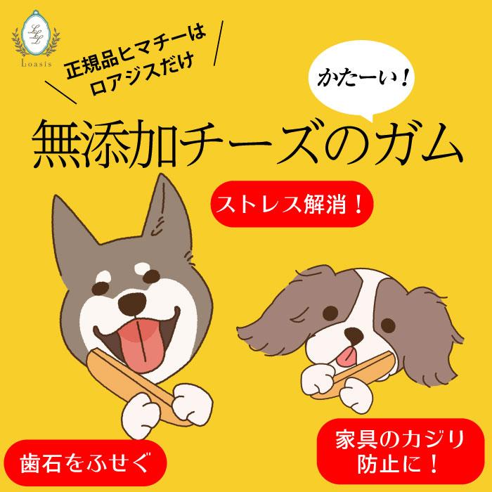送料込・単品購入専用】Mサイズ(約70g) 正規品ヒマチー ヒマラヤチーズ
