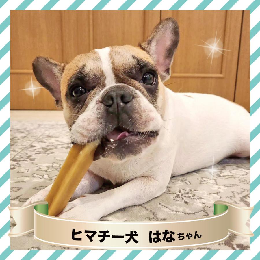 ヒマラヤ チーズ 犬