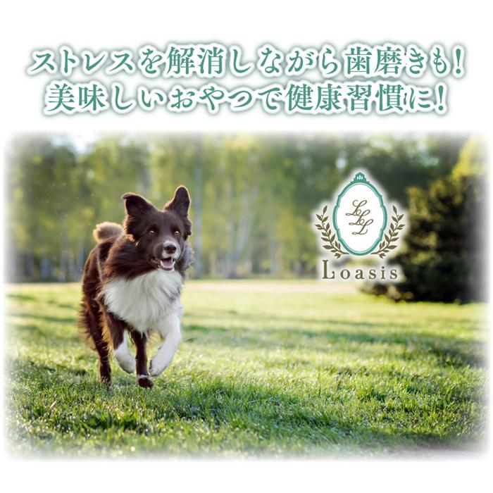 6本 Mサイズ(約70g) 正規品ヒマチー 【セットでお得】 ヒマラヤチーズ スティック ペット 犬用 無添加 ガムの画像