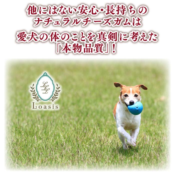 6本 Mサイズ(約70g) 正規品ヒマチー 【セットでお得】 ヒマラヤチーズ スティック ペット 犬用 無添加 ガムの画像