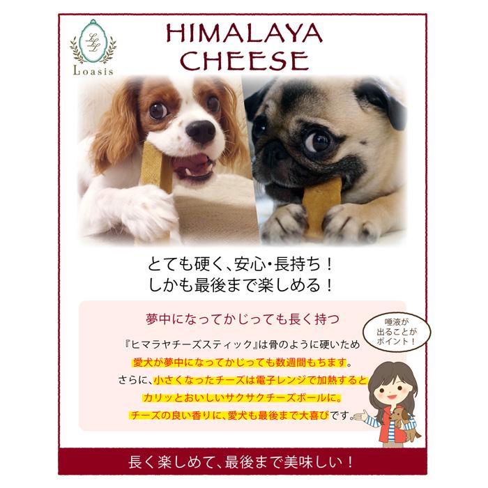 6本 Mサイズ(約70g) 正規品ヒマチー 【セットでお得】 ヒマラヤチーズ スティック ペット 犬用 無添加 ガムの画像