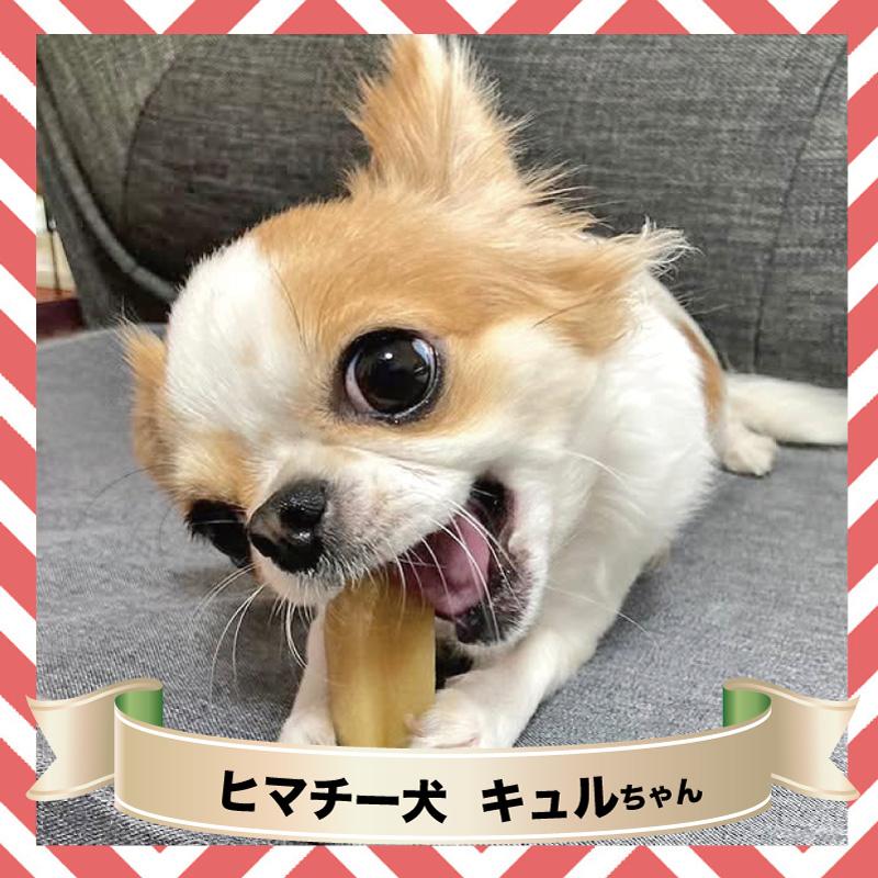 送料込・単品購入専用】Sサイズ(約30g) 正規品ヒマチー ヒマラヤチーズ