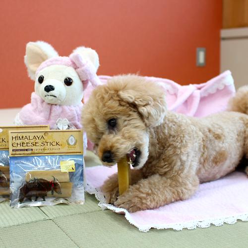 ふわふわ カフェマット (Mサイズ 400×400mm) 【今治タオルシリーズ