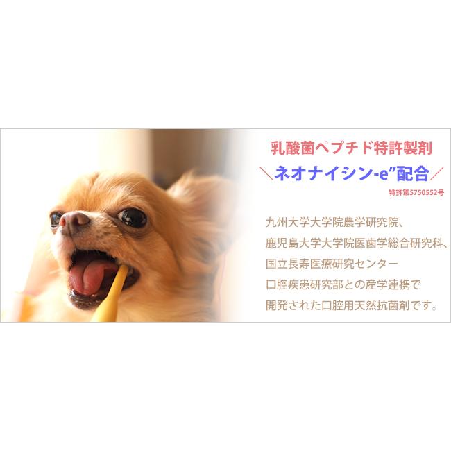 オーラルピース フォー ペット 歯磨きジェル (ペット 犬 猫用) 特許