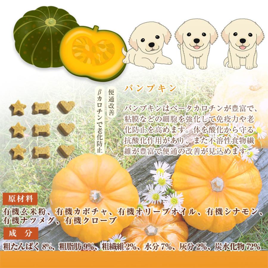 犬用 有機クッキー ベジフル ミニパック 32g 無添加 オーガニック アレルギー対応 ペット おやつ 賞味期限 23年3月末 メール便ok Veg 0140 ロアジスナチュラルpetlife 通販 Yahoo ショッピング