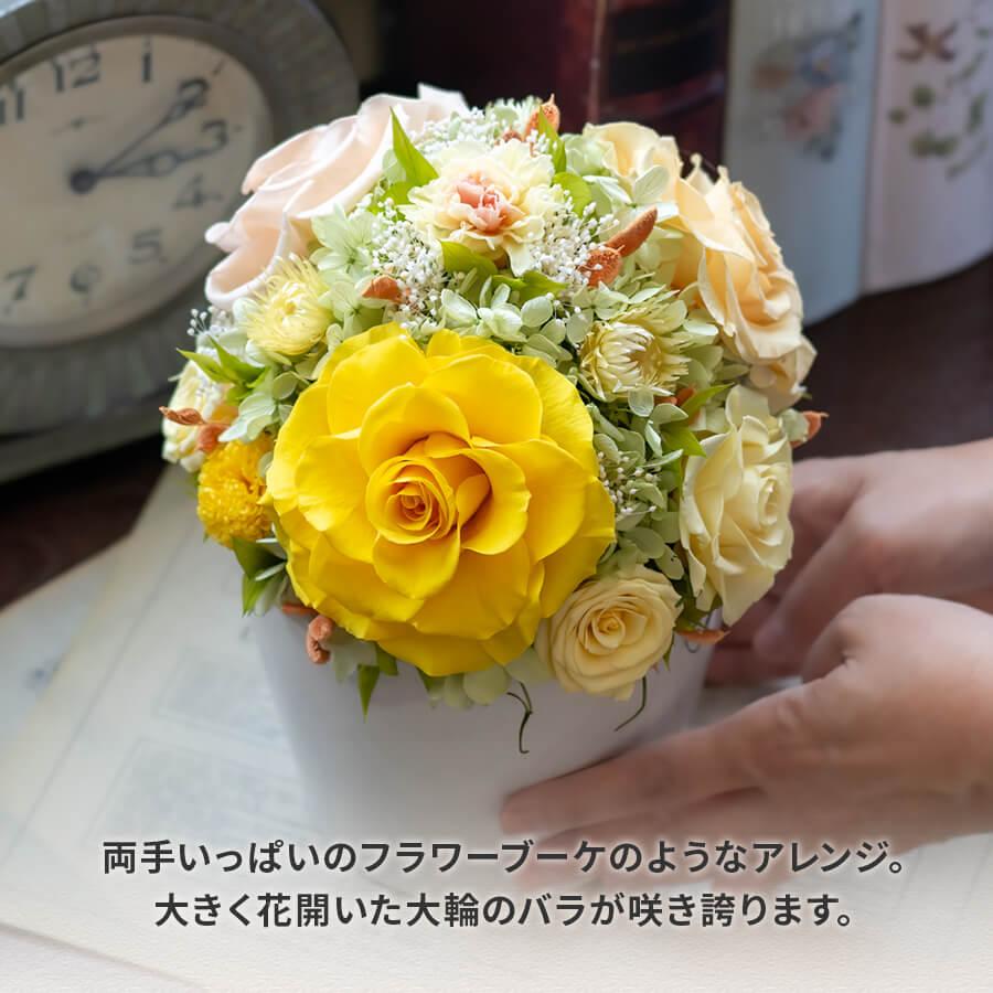 プリザーブドフラワー 母の日 花 誕生日 プレゼント 女性 女友達 プリザーブドフラワー 母の日 花 誕生日 プレゼント 女性 女友達