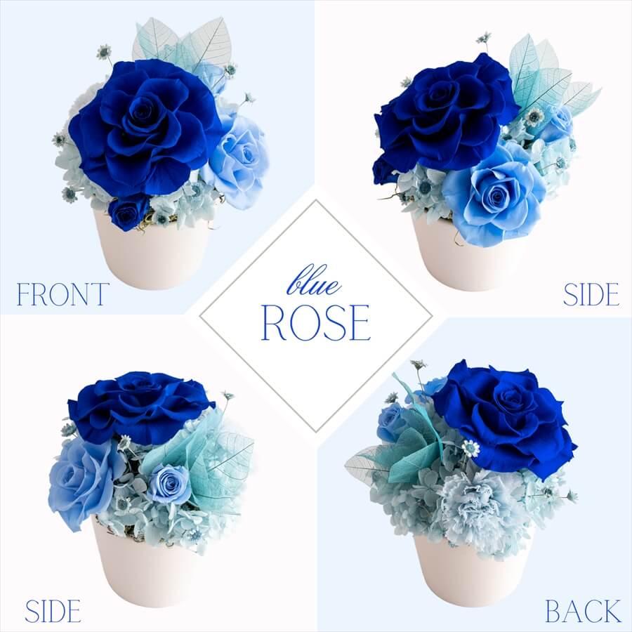 プリザーブドフラワー Bloom 青いバラ 結婚祝い 誕生日 プレゼント