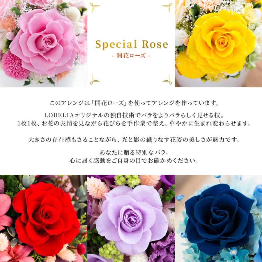 セットで販売してます、バラは断りです！ バラの花束を贈る 色や本数、花言葉よりも大切なこと | 青山花茂BLOG