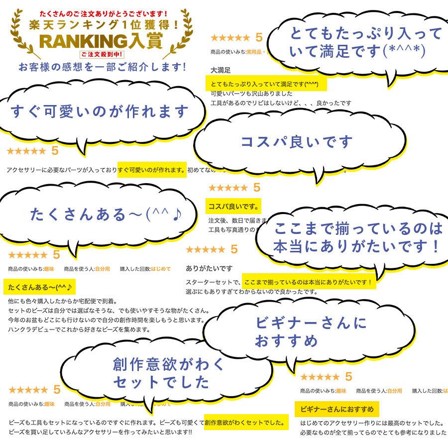 イヤーアクセサリー スターターセット 金具9種類 ビーズ19種類 工具4種類 ケース付き 色をお選びください イヤリング ピアス作りをすぐに始められる Ssa チェコビーズのローブル 通販 Yahoo ショッピング