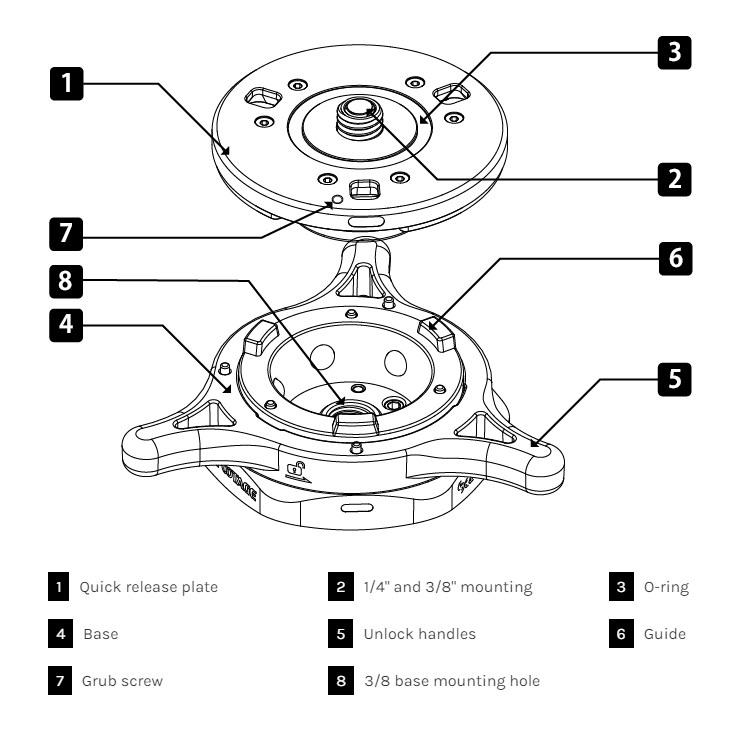 IFOOTAGE (アイフッテージ) Seastars (シースターズ) Q1s セット