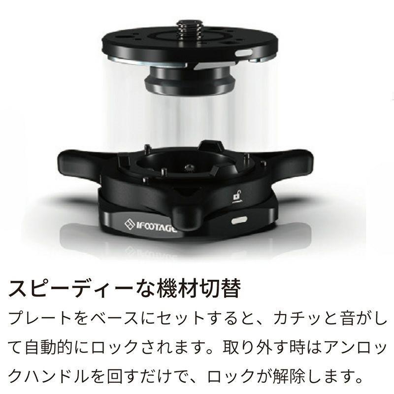 IFOOTAGE (アイフッテージ) Seastars (シースターズ) Q1s セット