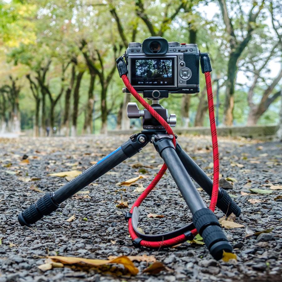 レンジャーシリーズ Leofoto (レオフォト) LS-253CM+LH-30 ロー