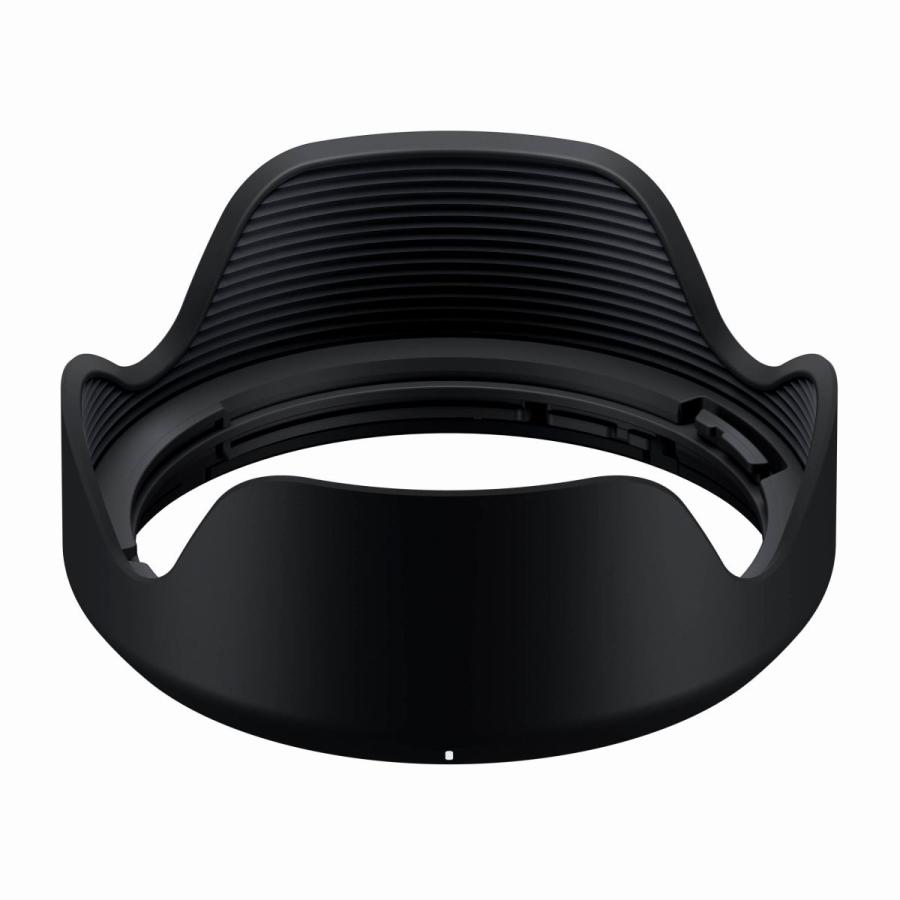 タムロン　28-200mm e mount Amazon.com : TAMRON 28-200mm F/2.8-5.6 Di III RXD for Sony E