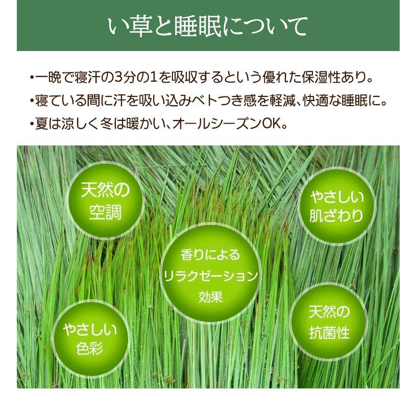 畳ベッド シングル ヘッドレス ベッド下収納 大容量 小上り 木製 い草 マットレス付き たたみベッド モダンテイスト_11