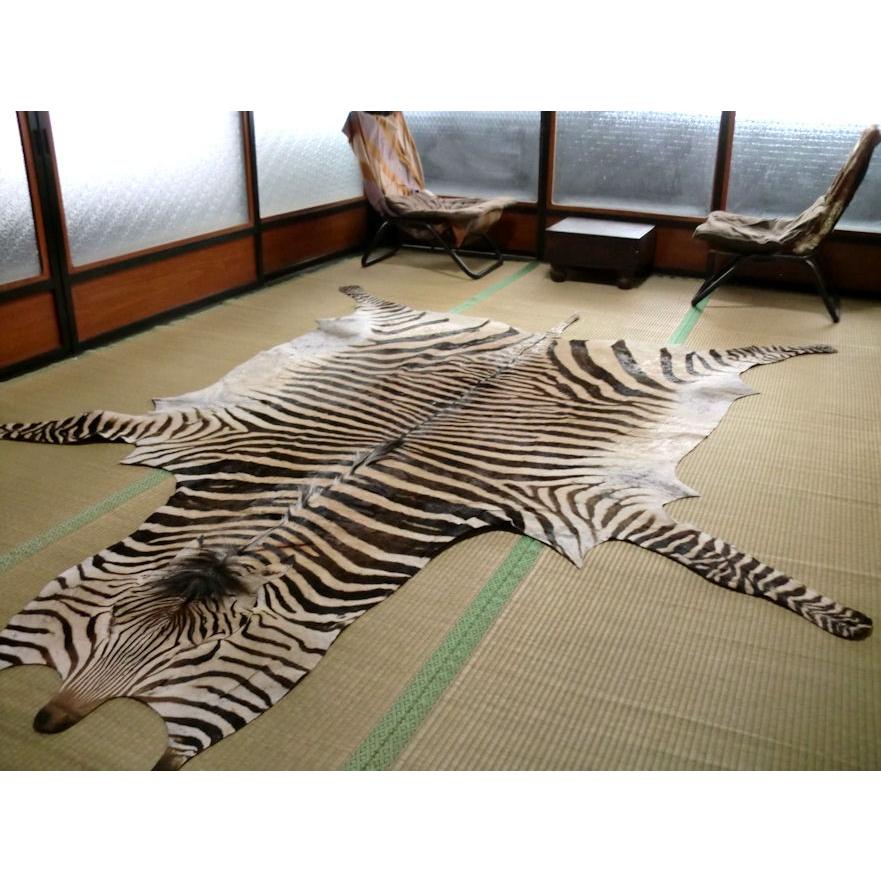 ゼブラ敷物約280×220cm□シマウマ□ゼブラ柄/毛皮壁掛 オブジェ ゼブラ敷物約280×220cm□シマウマ□ゼブラ柄/毛皮壁掛 オブジェ