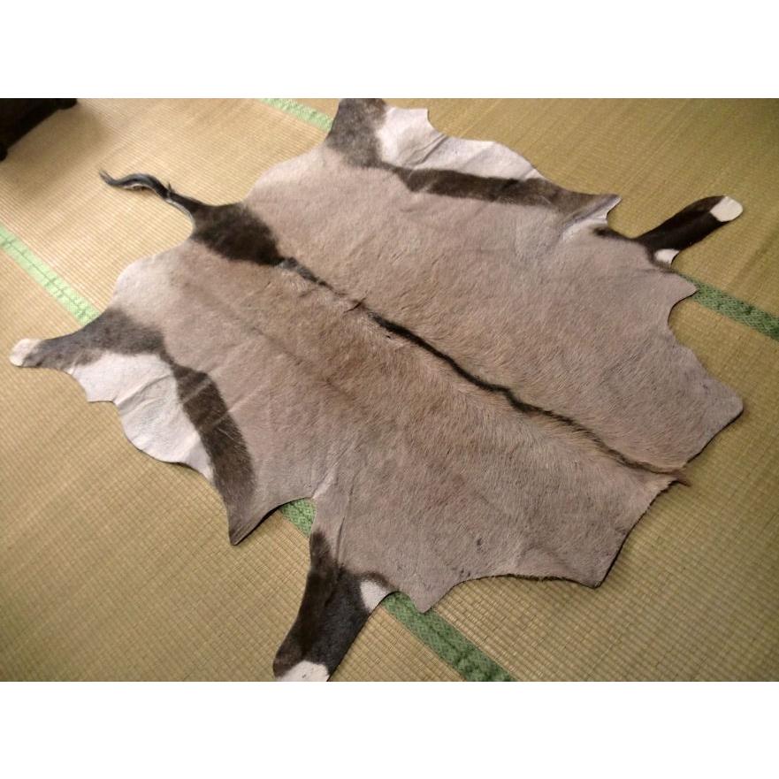 毛皮敷物、壁掛け オリックス敷物約195×144cm□毛皮壁掛 オブジェ♯F剥製革ラグ