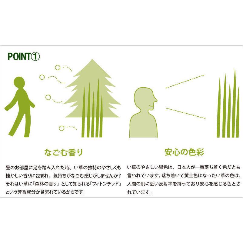 軽量/日本の癒しとくつろぎ/やさしい緑色グリーン。ユニット畳 12枚セット（6畳分相当） 約82×82×1.3cm：防音対策・置き畳・床キズ防止。 節電｜local-tokitoki｜04