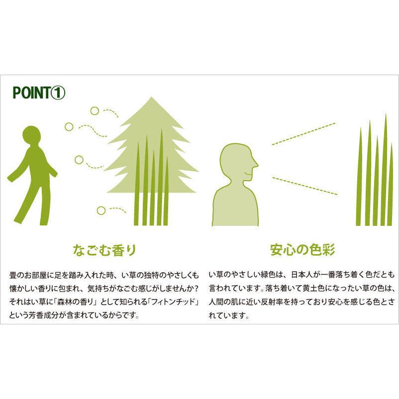 ユニット畳 置き畳 全厚3cm 10畳分相当 い草 衝撃吸収 防音 軽量 ユニット畳 置き畳 全厚3cm 10畳分相当 い草 衝撃吸収 防音 軽量