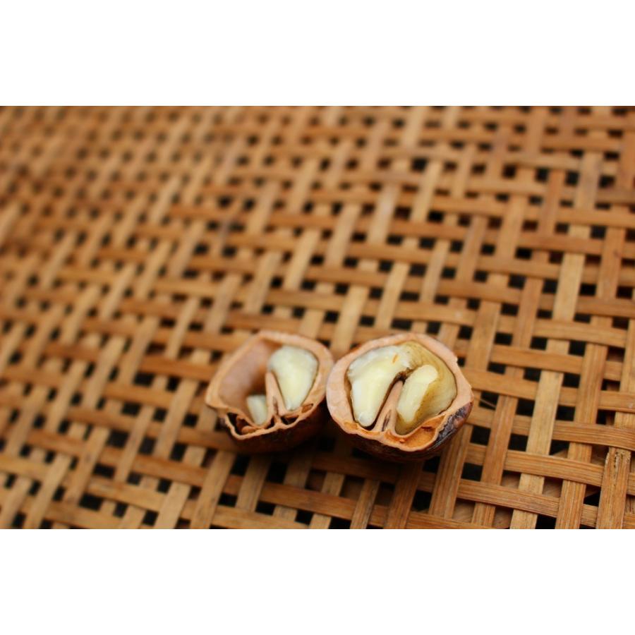 会津産 令和2年産 鬼くるみ殻付き5kg｜localtoglobal