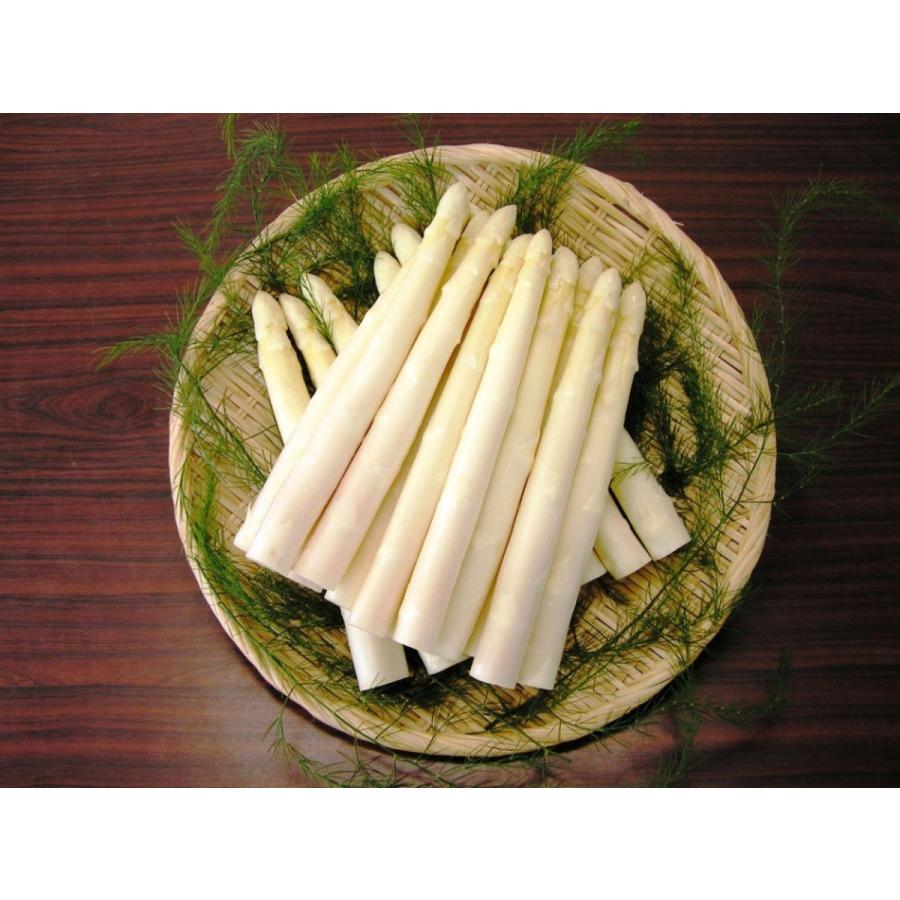 SSKセールス」「朝採り新鮮」会津産 生鮮ホワイトアスパラガス 2Lサイズ 500g :whiteasuparagasu-2l-500g:Local to Global - 通販 - Yahoo!ショッピング SSKセールス」「朝採り新鮮」会津産 生鮮ホワイトアスパラガス 2Lサイズ 500g :whiteasuparagasu-2l-500g:Local to Global - 通販 - Yahoo!ショッピング