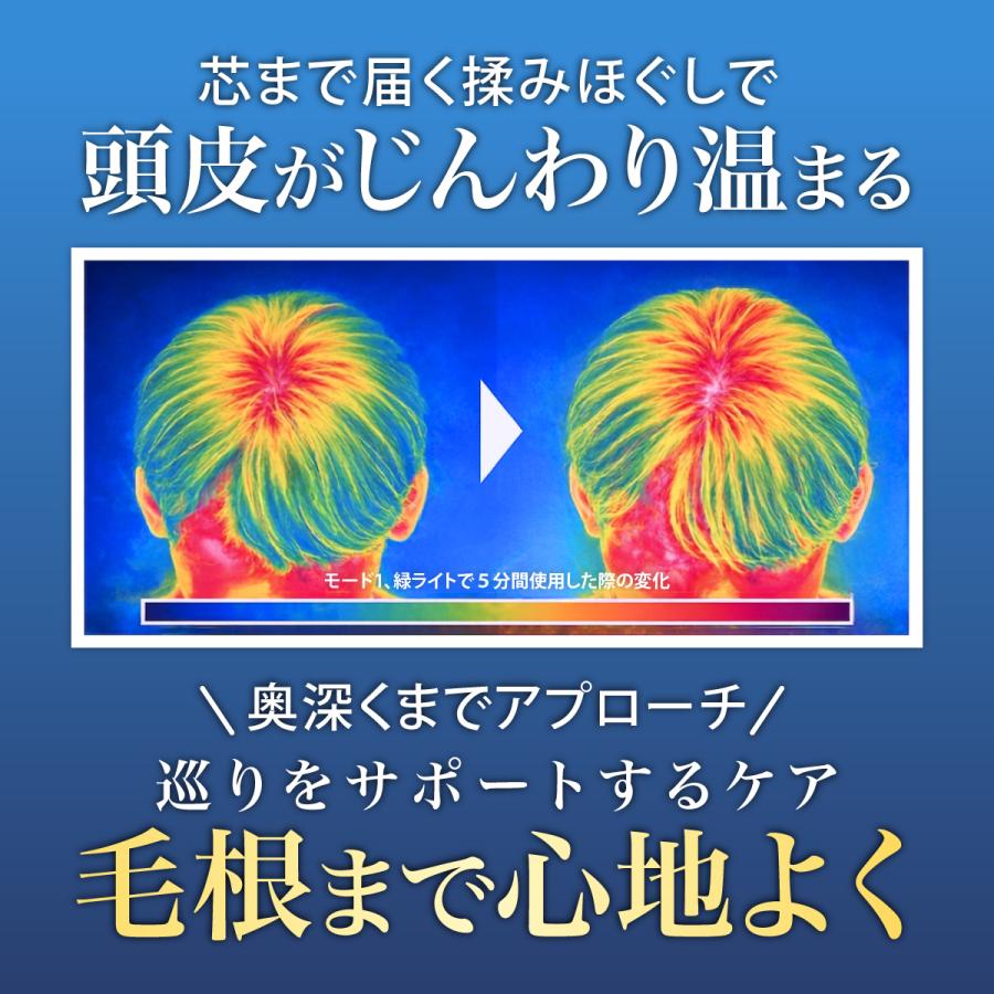 ヘッドスパEMS 電気ブラシ 頭皮ケア デバイス LED光＆EMS微振動搭載