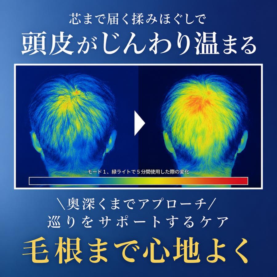 ヘッドスパEMS 電気ブラシ 頭皮ケア デバイス LED光＆EMS微振動搭載