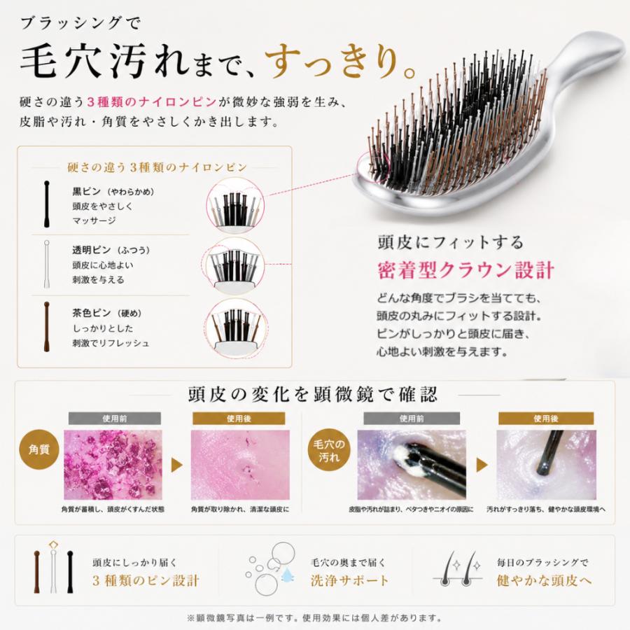 2025ビューティーアワード受賞商品】スカルプモイストブラシ
