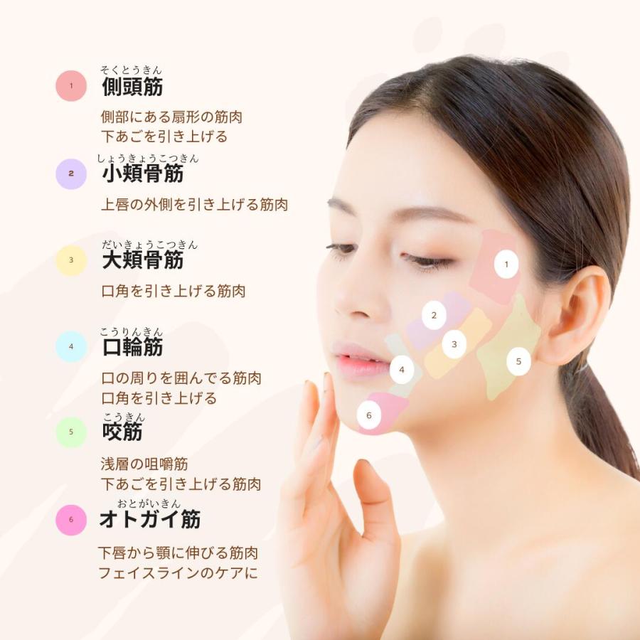 EMSで小顔実感/小顔EMS美顔器 EMSフェイス用EMS 小顔ローラー EMSで小顔実感/小顔EMS美顔器 EMSフェイス用EMS 小顔ローラー