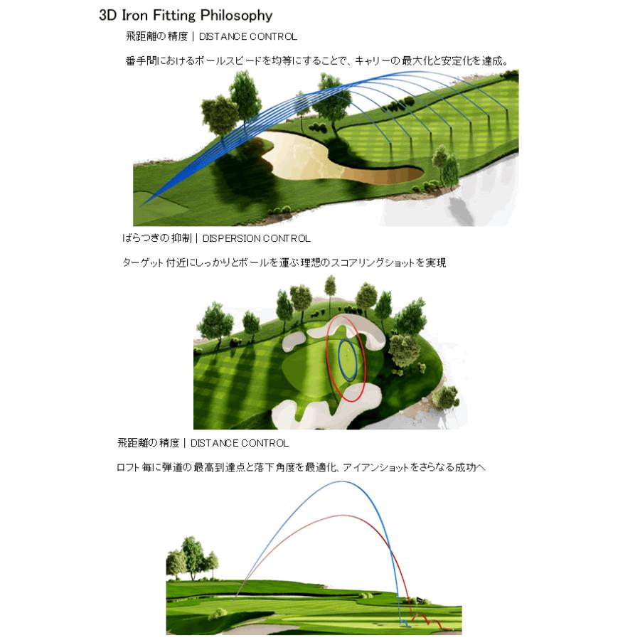 Titleist（タイトリスト） T150(25) アイアン 6本(5番〜P)セット AMT