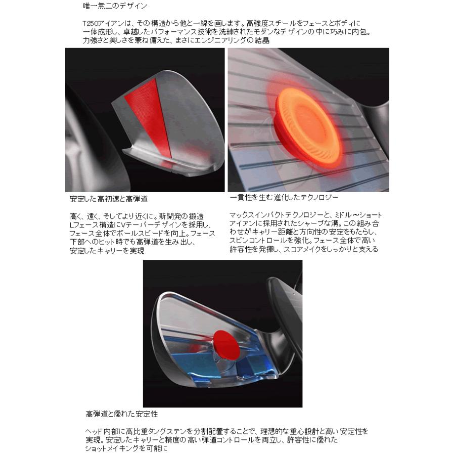 Titleist（タイトリスト） T250(25) アイアン 6本(5番〜P)セット NS 