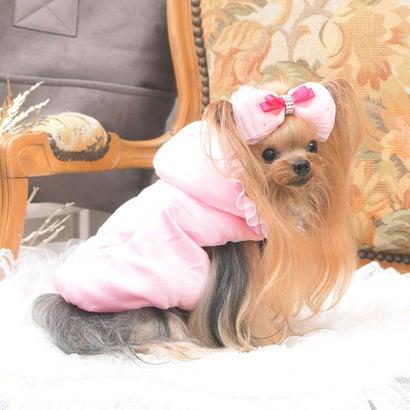 リュクスバーディ Luxe birdie バーディ スリールキルトコート S