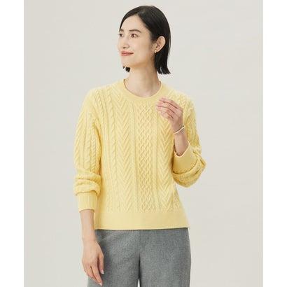 J.PRESS LADIES L 【WEB限定カラーあり・洗える】EIGER CORD ALAN クルーネックプルオーバー ニット （イエロー系）