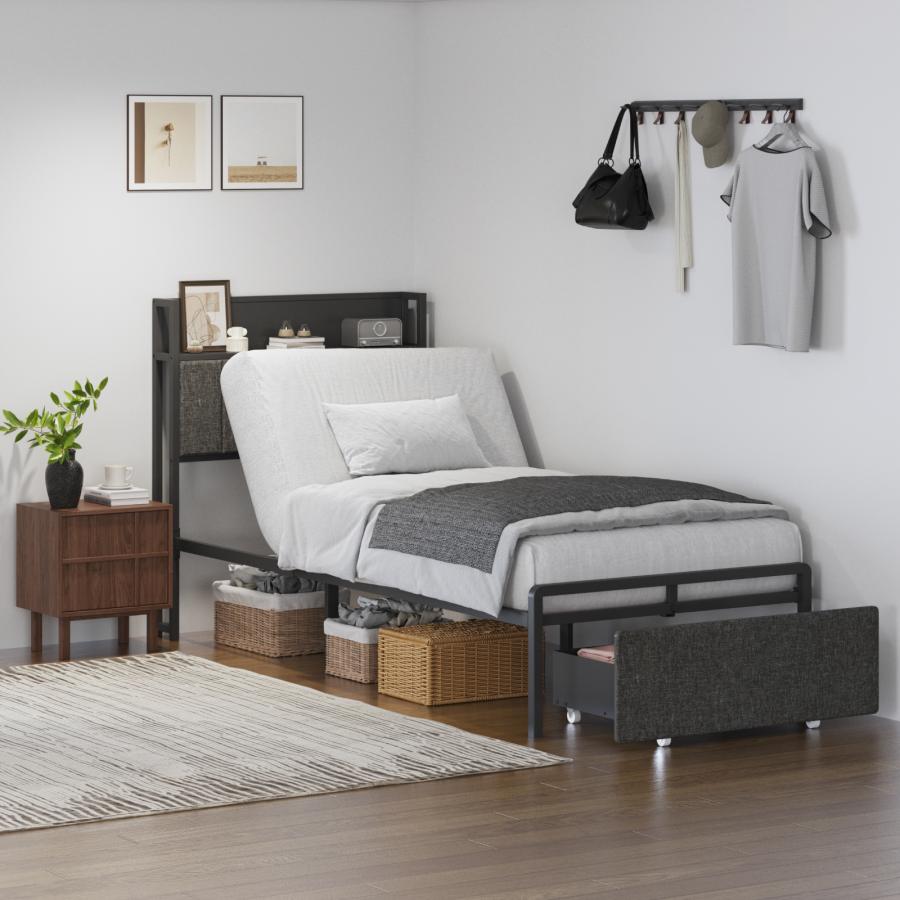 FlexiSpot 電動ベッド リクライニングベッド FlexiSpot B1 ベッド 組立