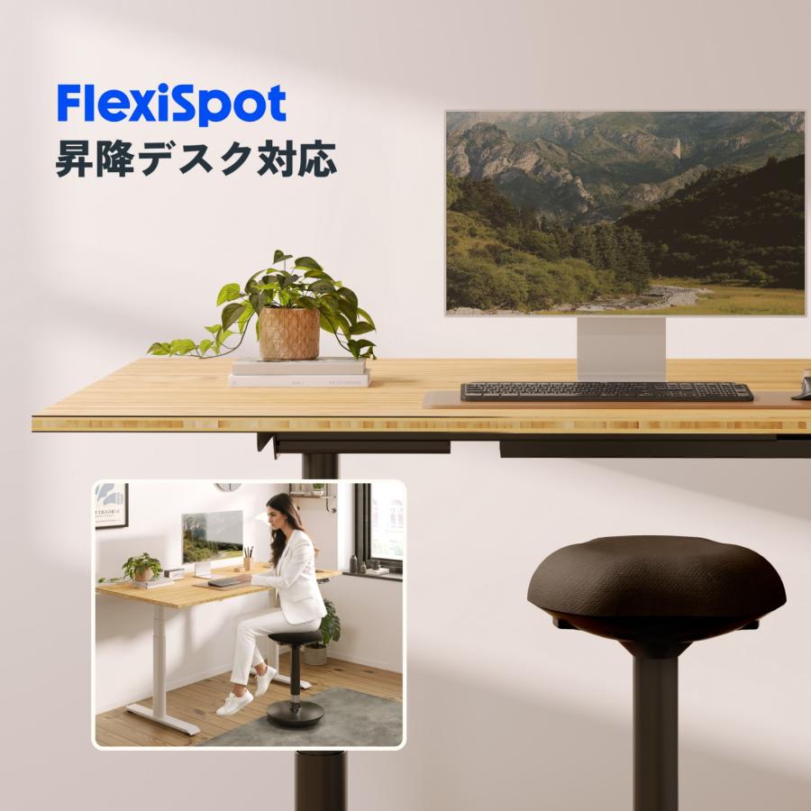 FlexiSpot ハイスツール 回転 バランスチェア チェア クッション